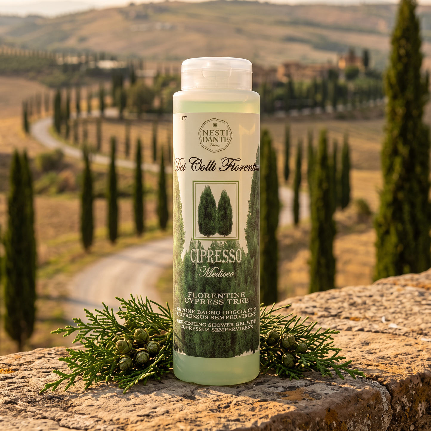 Nesti Dante Cypress Shower Gel 300ml | Woody Tuscan Hillside Wash