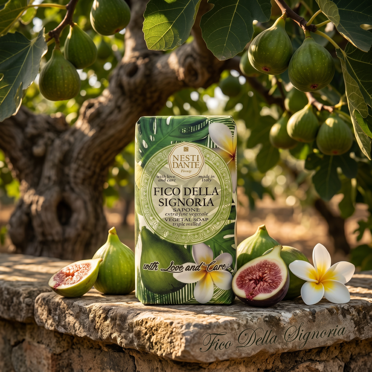 Nesti Dante Fico della Signoria Soap 250g | Fig Fragrance