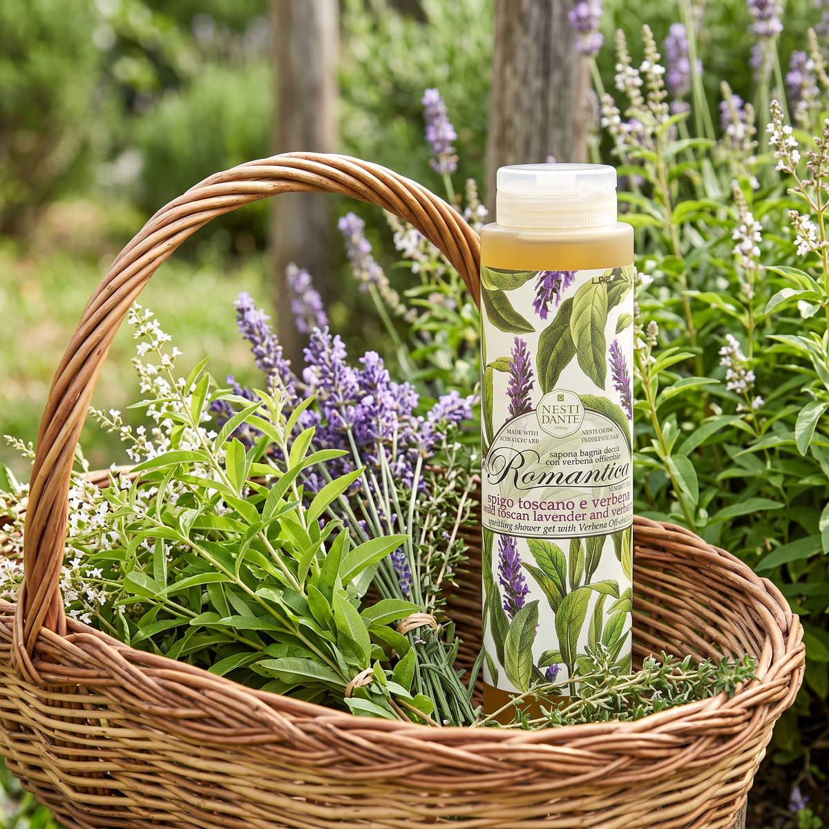Nesti Dante Wild Lavender & Verbena Shower Gel 300ml | Tuscan Herbal Wash