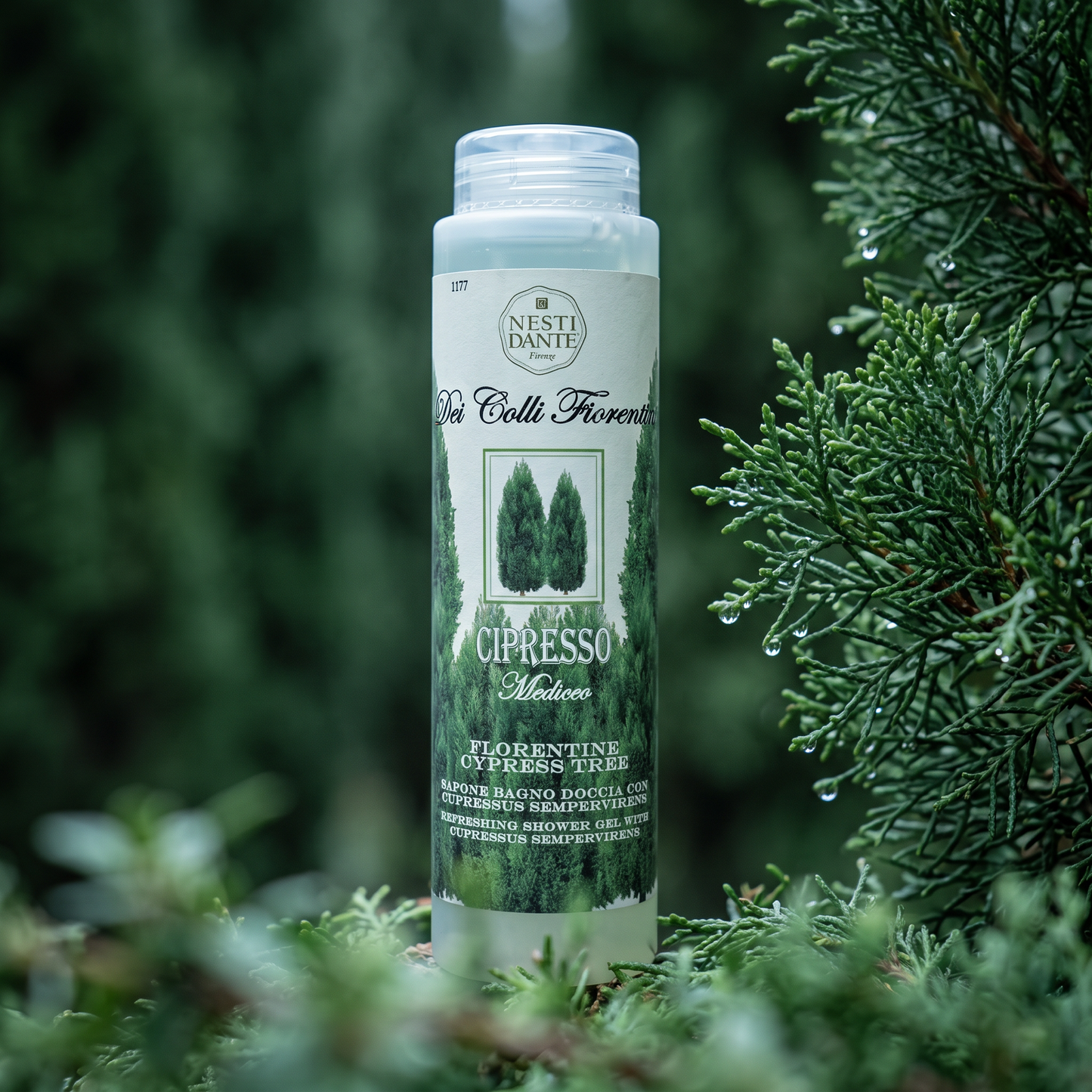 Nesti Dante Cypress Shower Gel 300ml | Woody Tuscan Hillside Wash