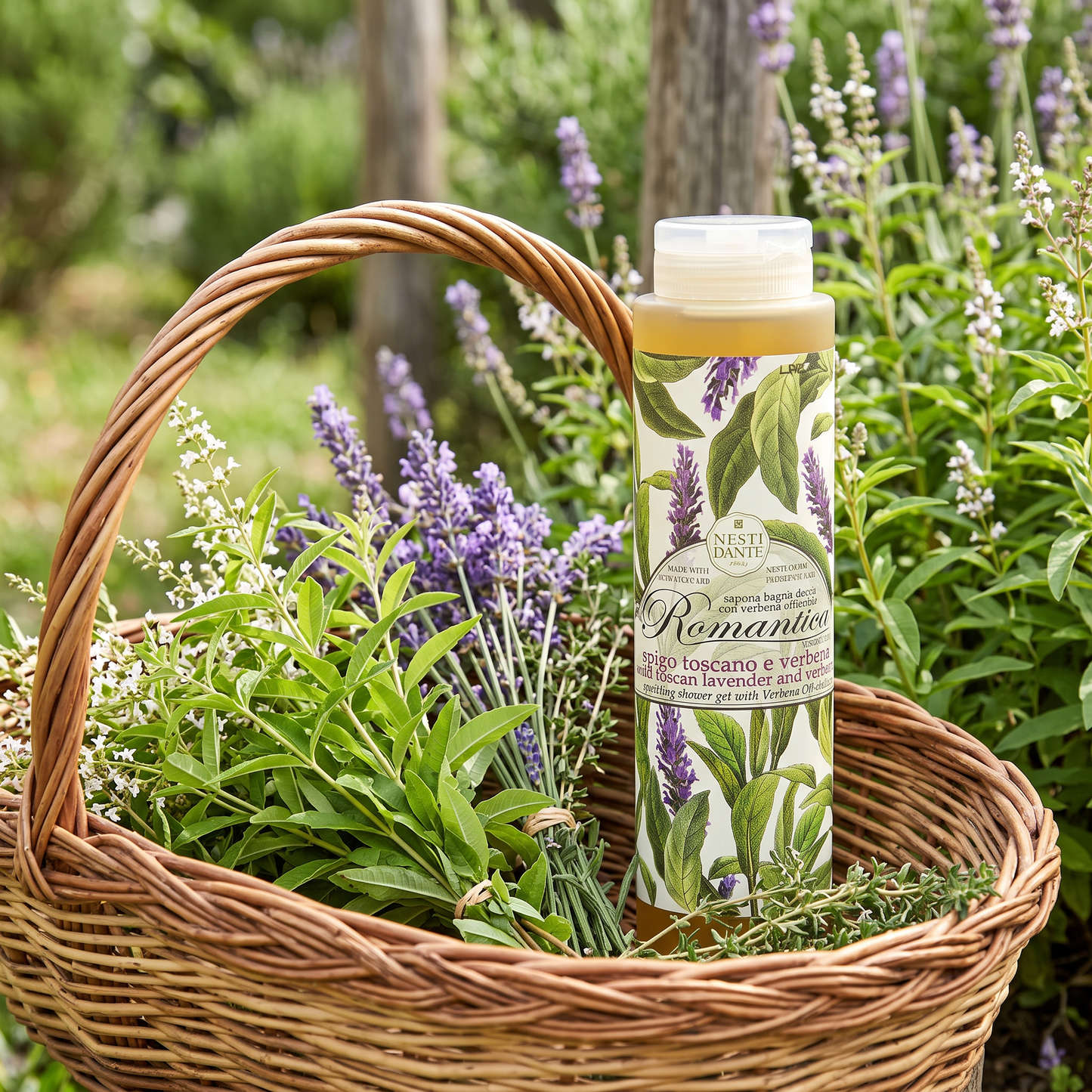 Nesti Dante Wild Lavender & Verbena Shower Gel 300ml | Tuscan Herbal Wash