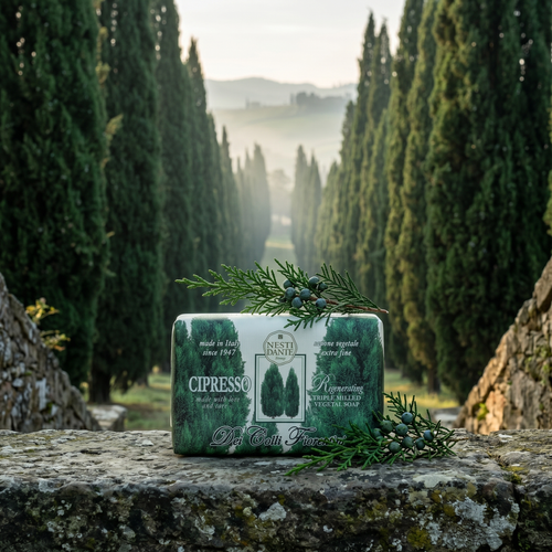 Cypress Tree