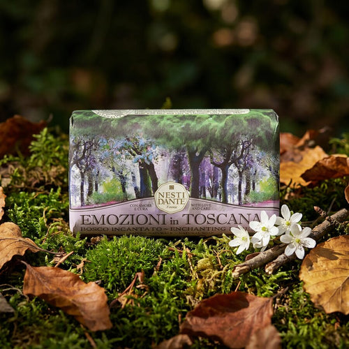Enchanting Forest